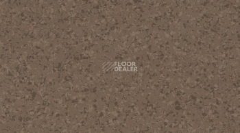 Линолеум Mipolam Affinity 4444 Havana Brown фото 1 | FLOORDEALER